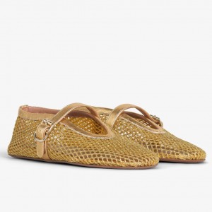 Alaia Ballet Flats in Gold Mesh with Metallic Leather