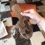 Hermes Oasis Slide Sandals In Taupe Niloticus Crocodile Shiny Skin