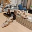 Jimmy Choo Anise 75 Mule Sandals In Ballet Pink Patent