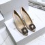 Manolo Blahnik Hangisi 70 Pumps In Champagne Satin