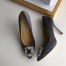 Manolo Blahnik Hangisi 105 Pumps In Grey Satin